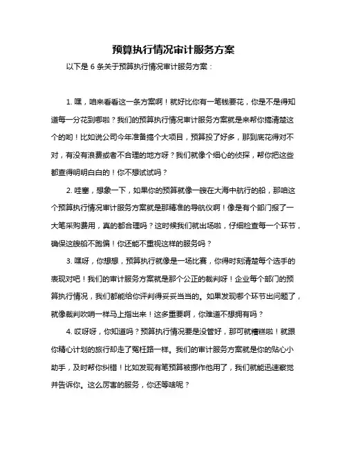 预算执行情况审计服务方案