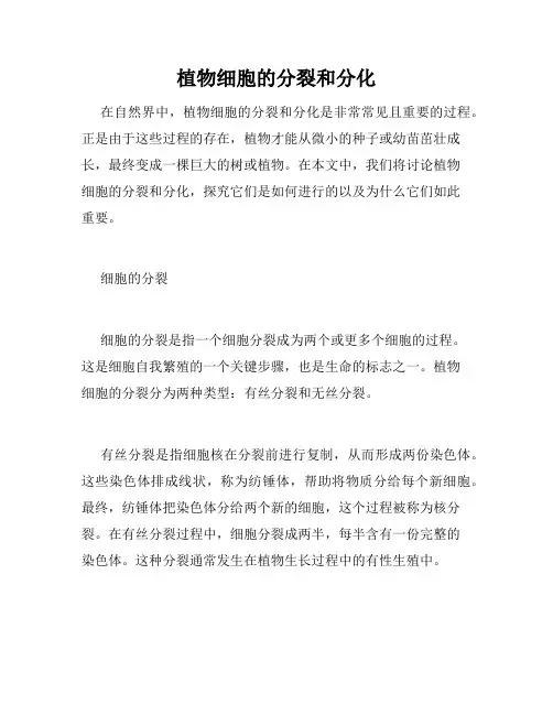 植物细胞的分裂和分化