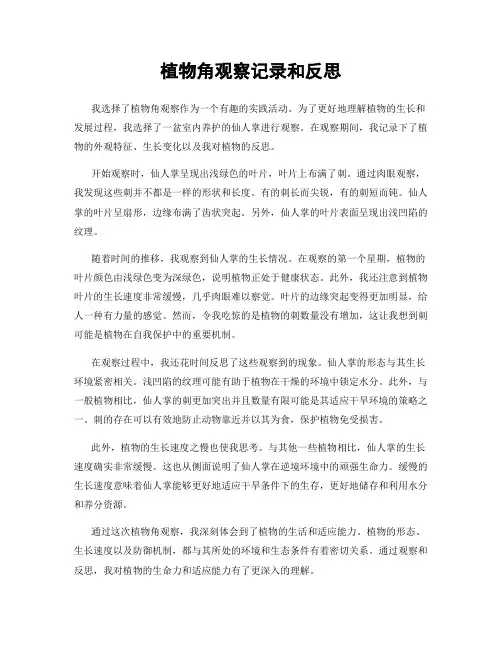 植物角观察记录和反思