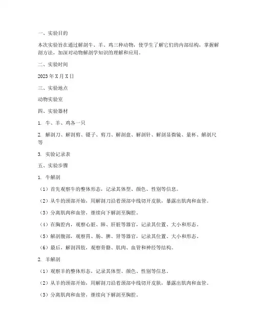 解剖牛羊鸡实训报告