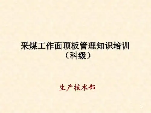 顶板管理培训课件(科级)