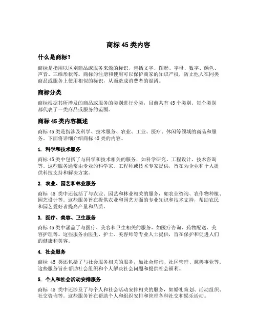 商标45类内容