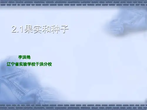 苏教版科学三年级下册1.果实和种子