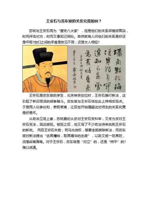 王安石与苏东坡的关系究竟如何？