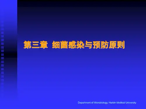 第三章细菌感染及预防原则