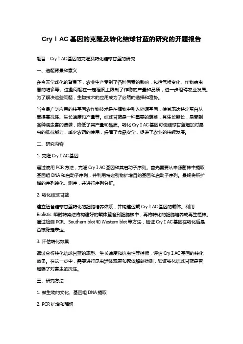 CryⅠAC基因的克隆及转化结球甘蓝的研究的开题报告