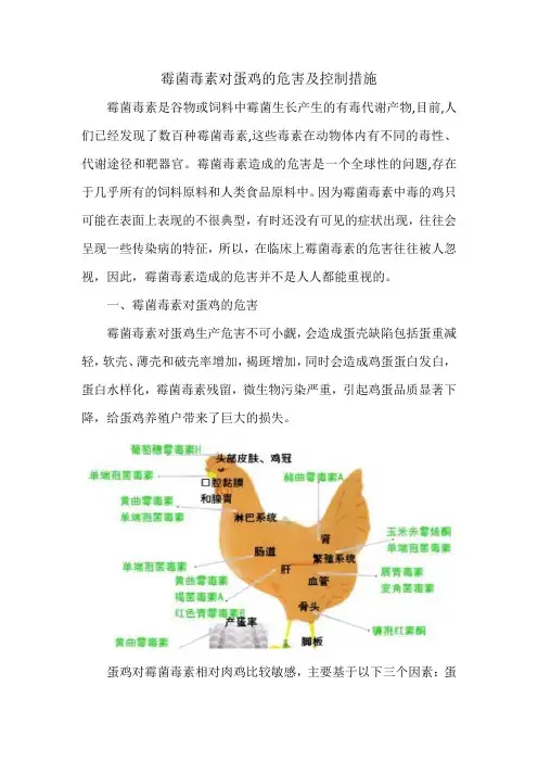 霉菌毒素对蛋鸡的危害及控制措施