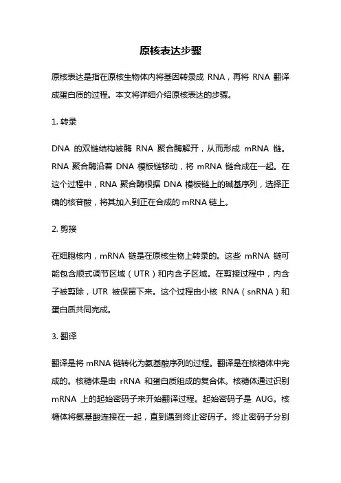 原核表达步骤