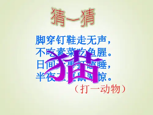 《猫》PPT课件