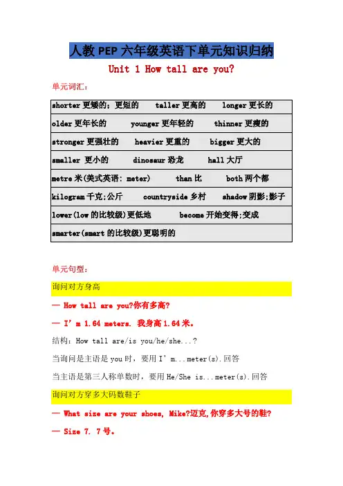 人教PEP六年级英语下册知识归纳