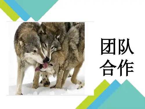 团队合作管理教材