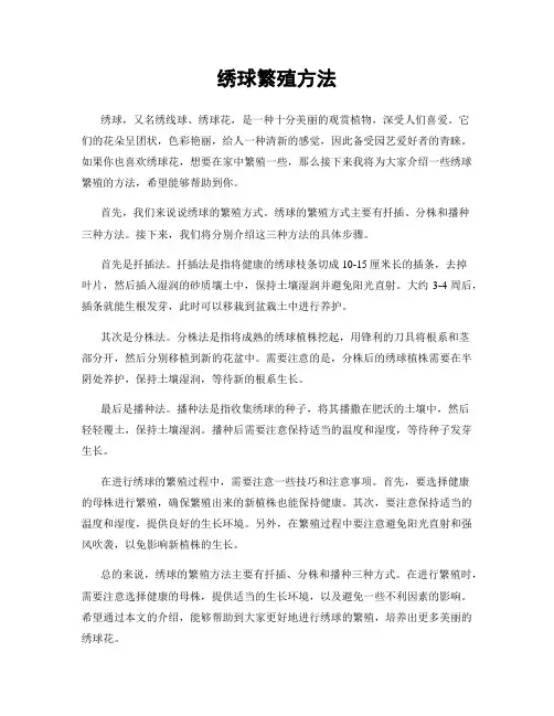 绣球繁殖方法