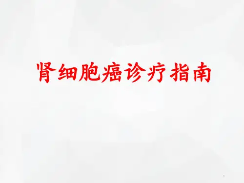 肾细胞癌诊疗指南PPT课件