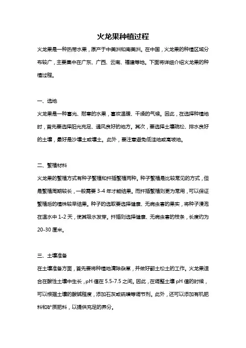火龙果种植过程