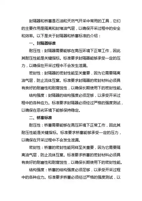 封隔器和桥塞标准