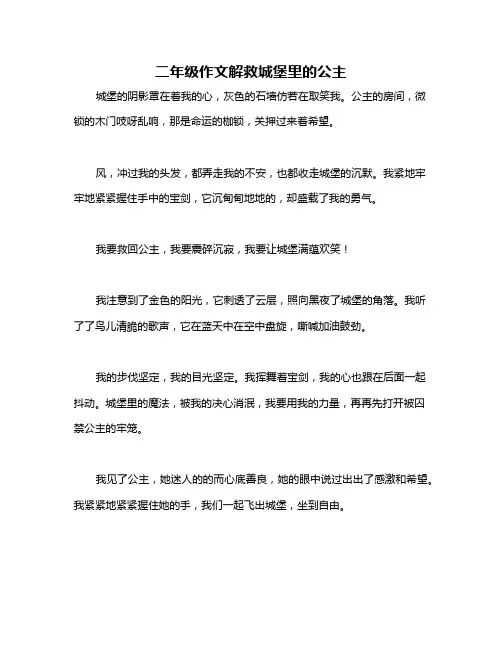 二年级作文解救城堡里的公主