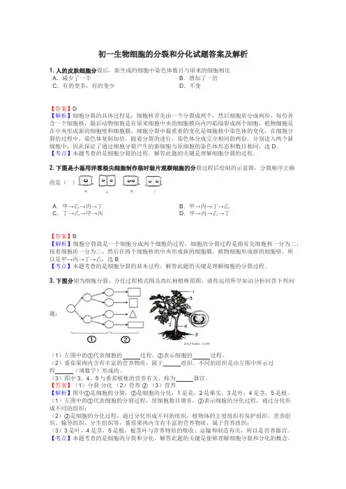 初一生物细胞的分裂和分化试题答案及解析
