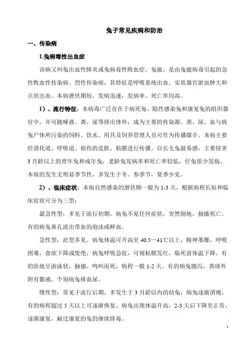 兔子常见疾病预防与治疗..