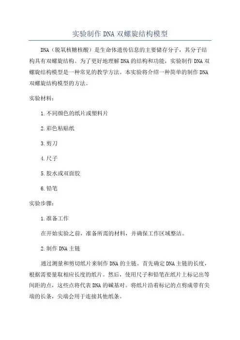 实验制作DNA双螺旋结构模型