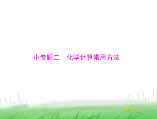 2020年高考化学一轮复习化学计算常用方法课件(19张)