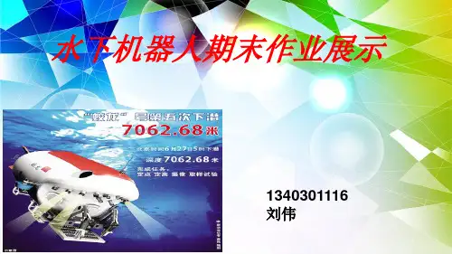水下机器人
