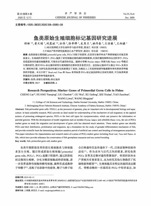 鱼类原始生殖细胞标记基因研究进展