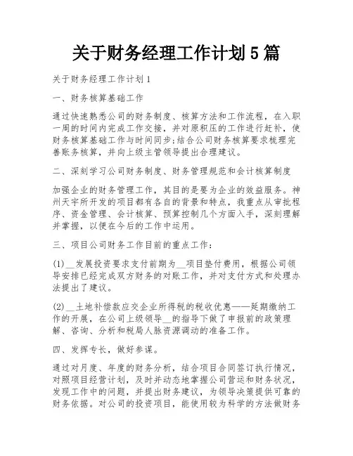关于财务经理工作计划5篇