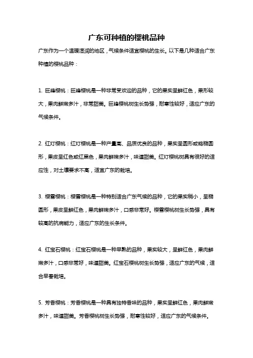 广东可种植的樱桃品种