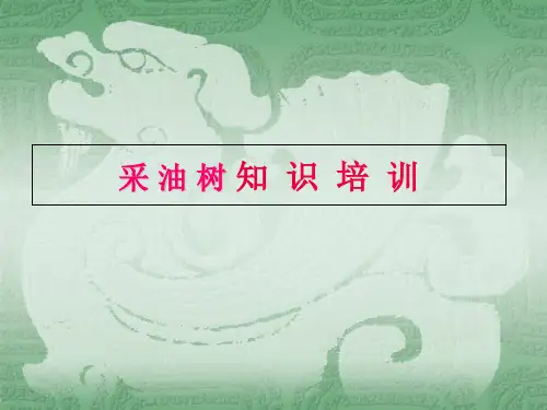采油树基础知识培训