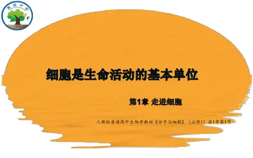 第1章第1节细胞是生命活动的基本单位课件-2021-2022学年高中生物人教版（2019）必修1