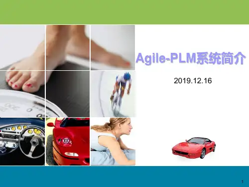 Agile-PLM系统简介