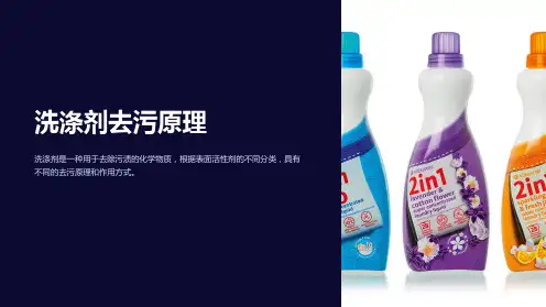 《洗涤剂去污原理》课件