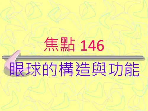 眼球的构造与功能汇总