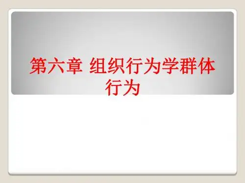 [课件]第六章 组织行为学群体行为PPT
