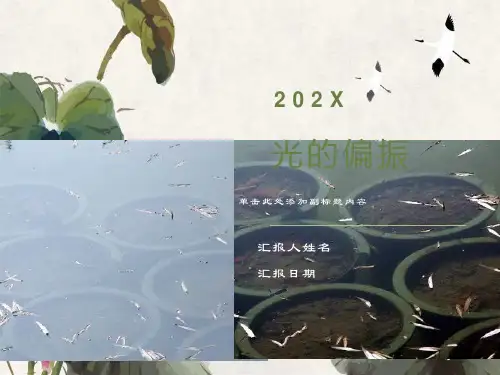 高二物理课件《光的偏振》