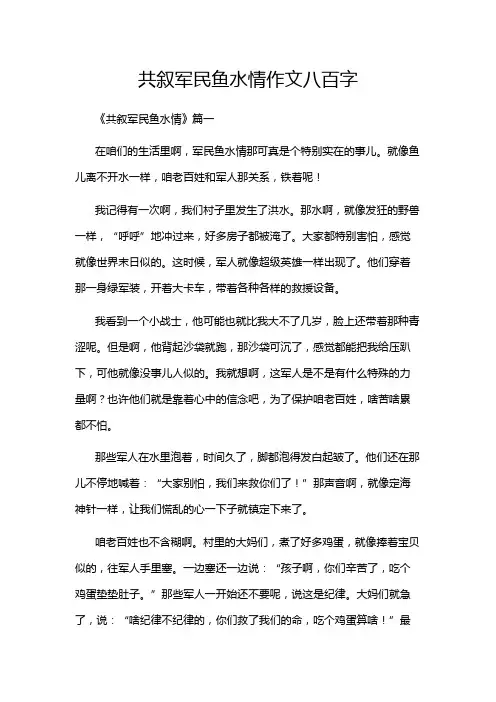 共叙军民鱼水情作文八百字