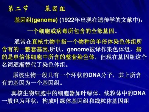 分子遗传学2(1w)
