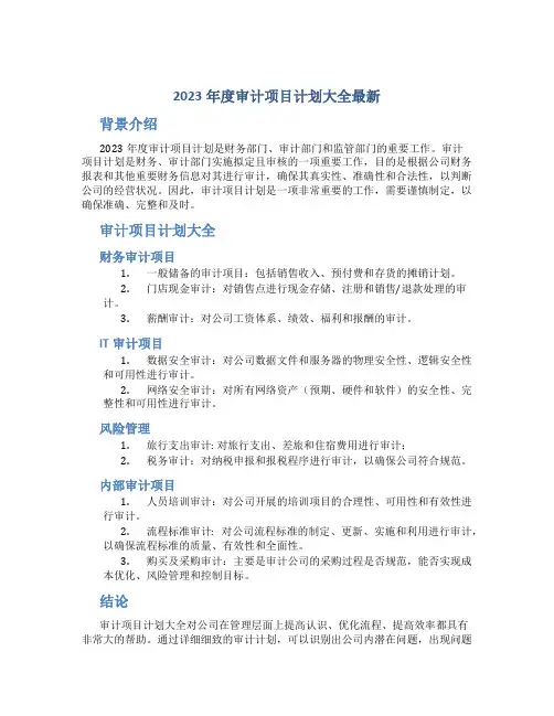 2023年度审计项目计划大全最新