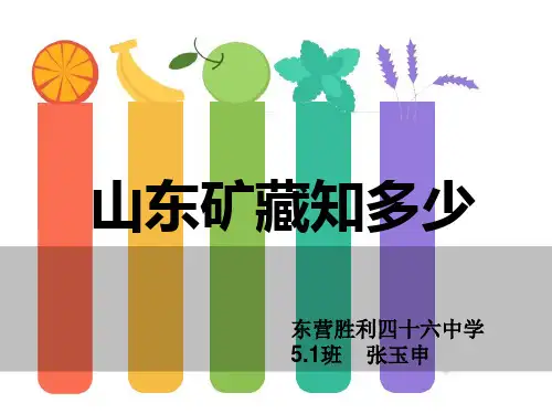 山东矿藏知多少-张玉申