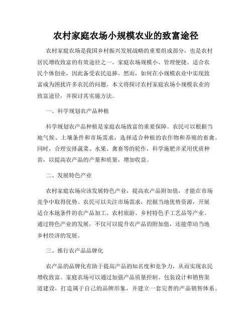 农村家庭农场小规模农业的致富途径
