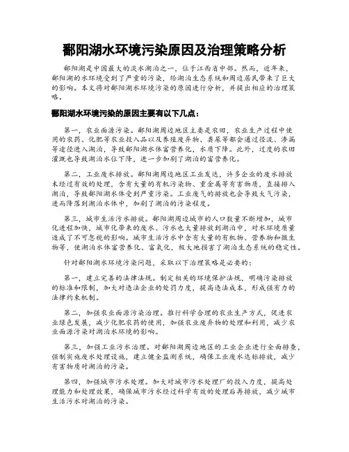 鄱阳湖水环境污染原因及治理策略分析