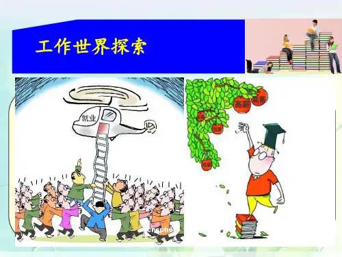工作世界探索 ppt课件