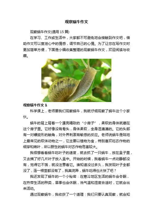 观察蜗牛作文
