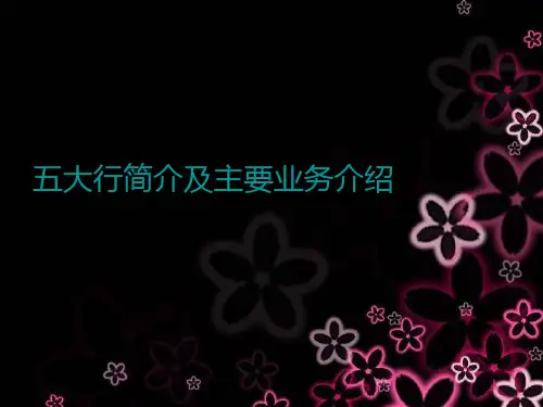 五大行简介及主要业务介绍.PPT精品文档24页