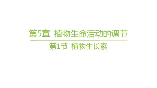 人教版高中生物学选择性必修1稳态与调节精品课件 第5章植物生命活动的调节 第1节 植物生长素 (7)