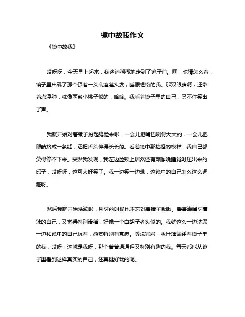 镜中故我作文