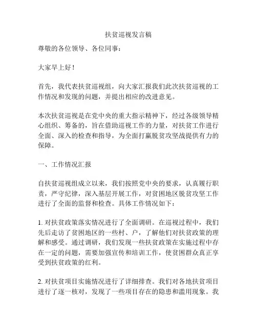 扶贫巡视发言稿
