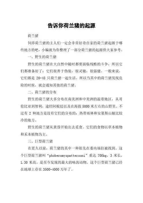 告诉你荷兰猪的起源