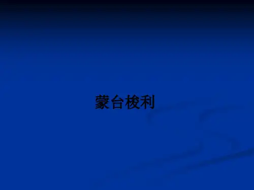 蒙台梭利ppt课件
