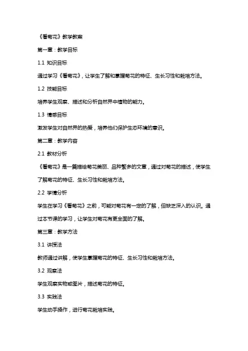 《看菊花》教学教案
